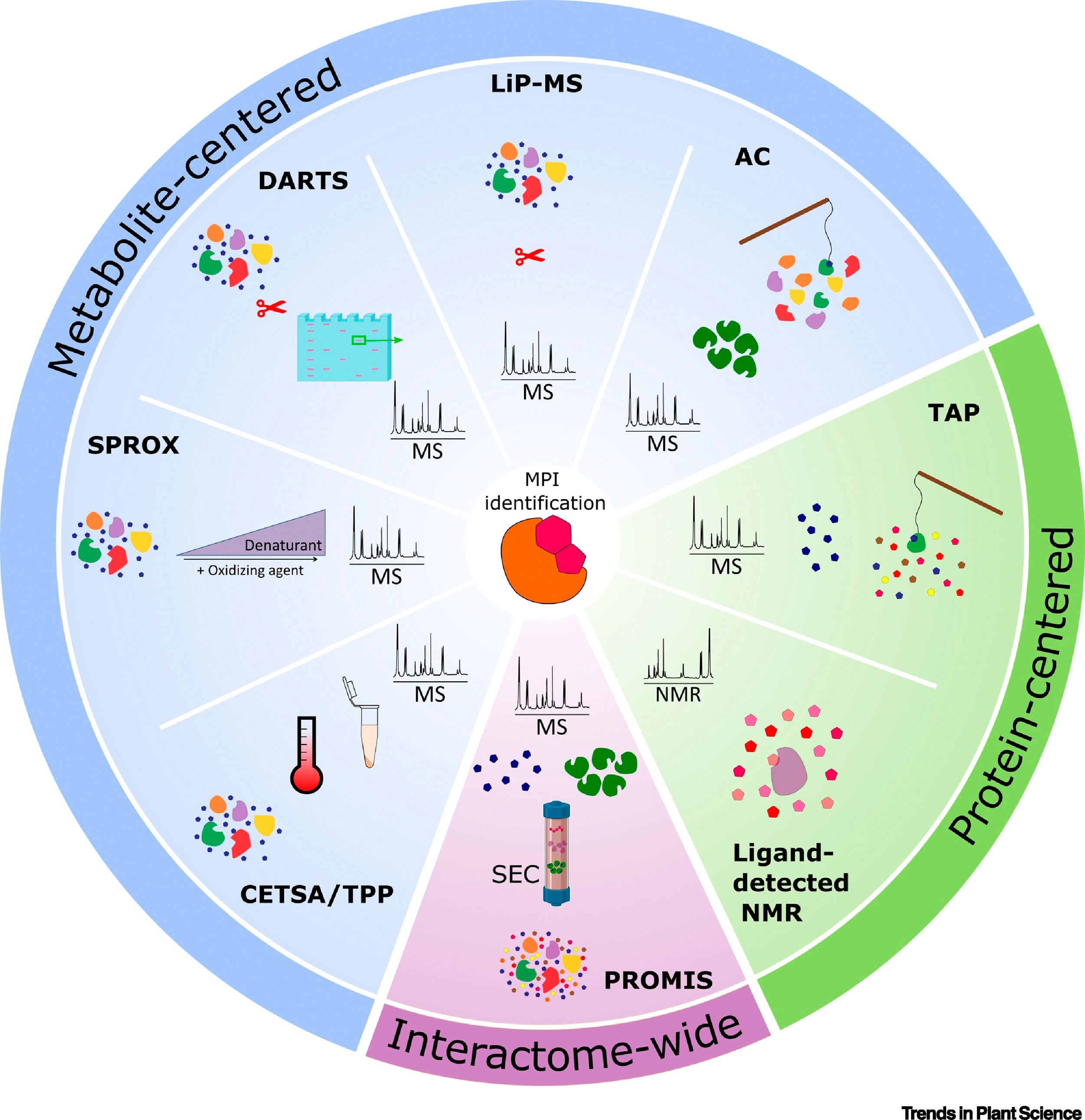 Interactions between Bioactive Metabolites and Proteins