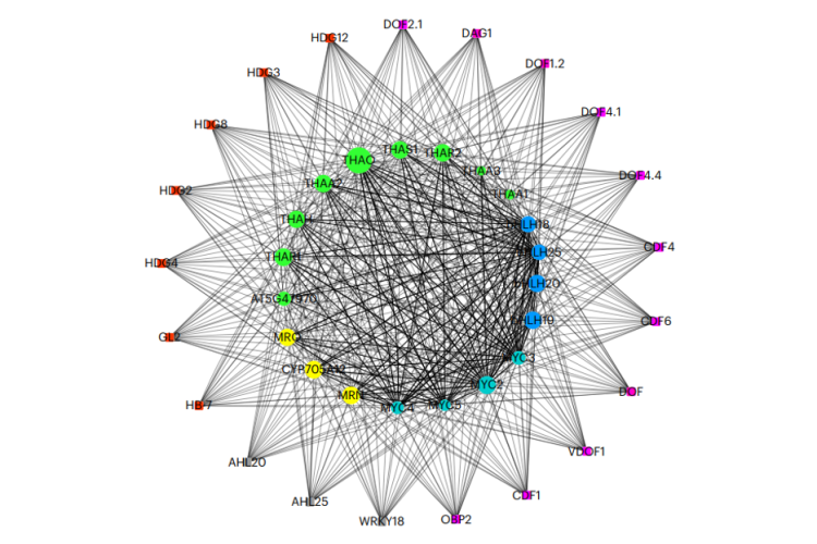 Expression of triterpene genes in the BGCs is coactivated by GL2 and repressed in inner root tissues by the DOF factor DAG1