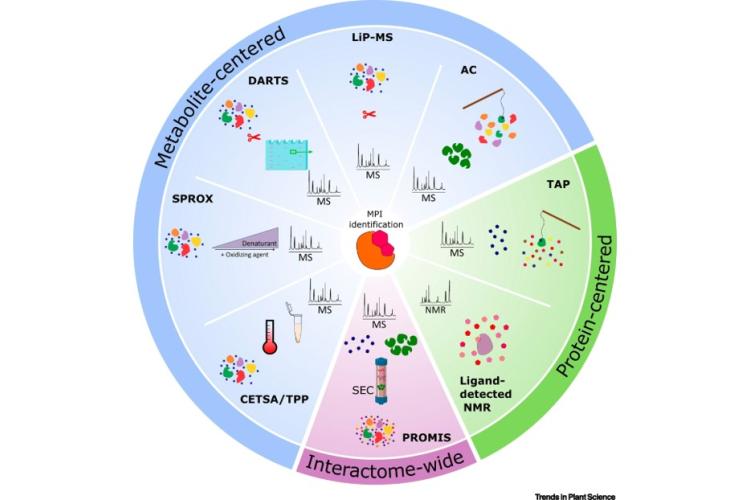Interactions between Bioactive Metabolites and Proteins